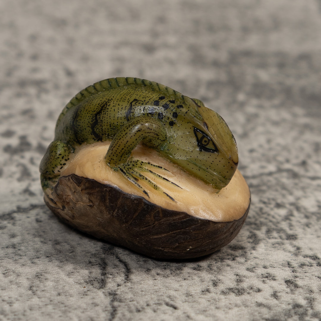 Black And Green Iguana Lizard Tagua Carving