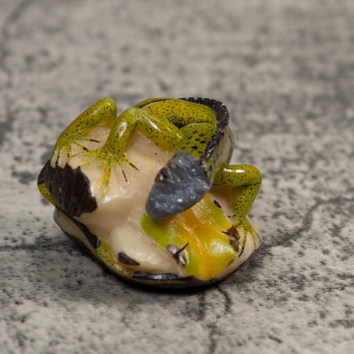 Green And Black Iguana Lizard Tagua Carving