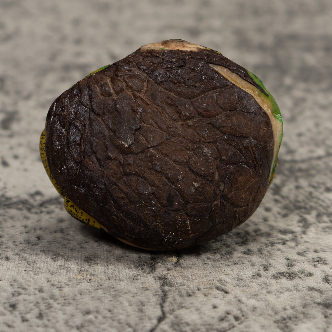 Gold Black And Green Frog Tagua Carving