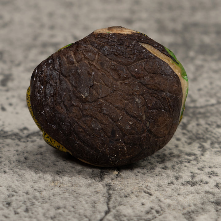 Gold Black And Green Frog Tagua Carving