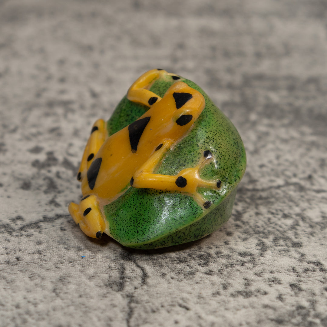 Black And Gold Poison Dart Frog Tagua Carving