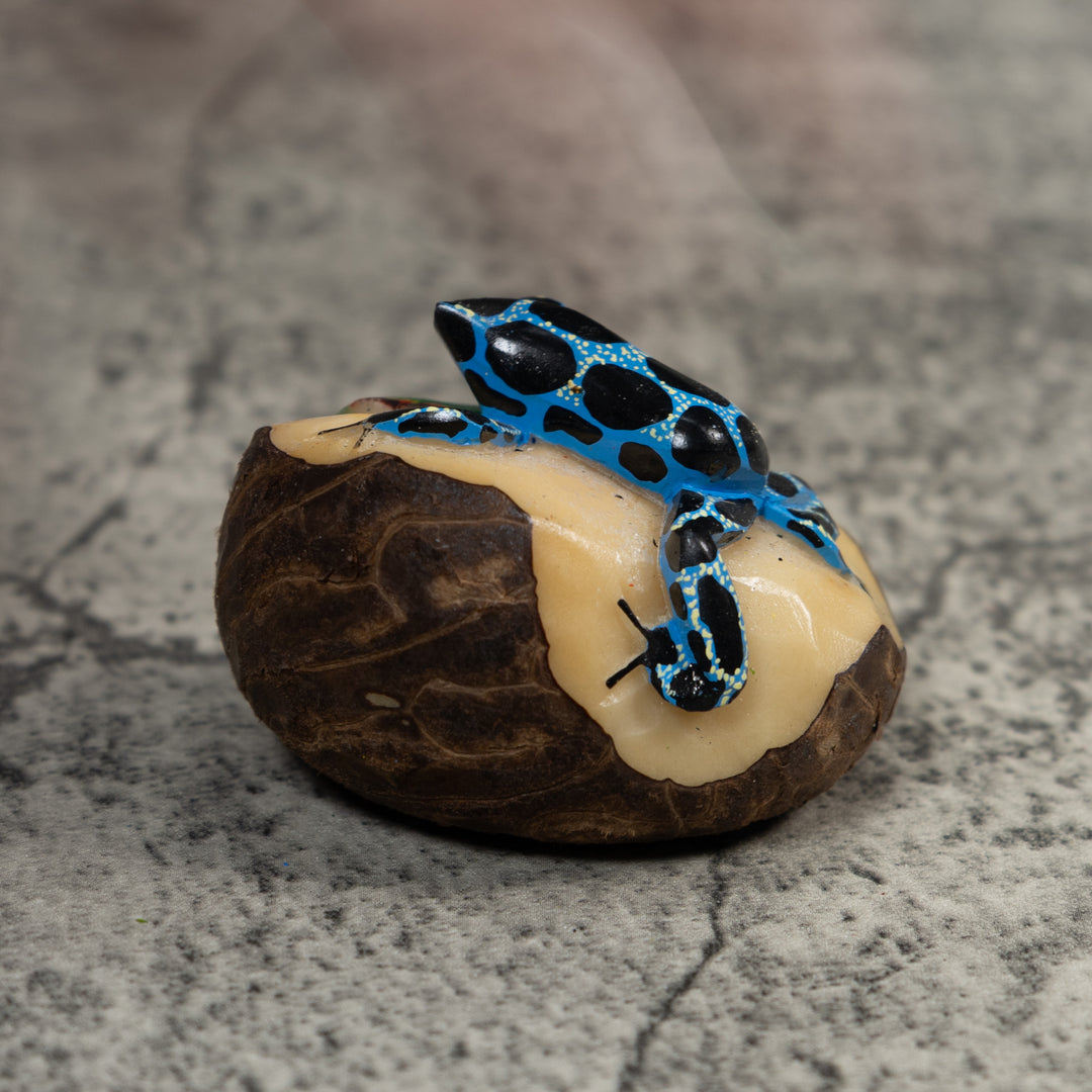 Black Blue And White Poison Dart Frog Tagua Carving