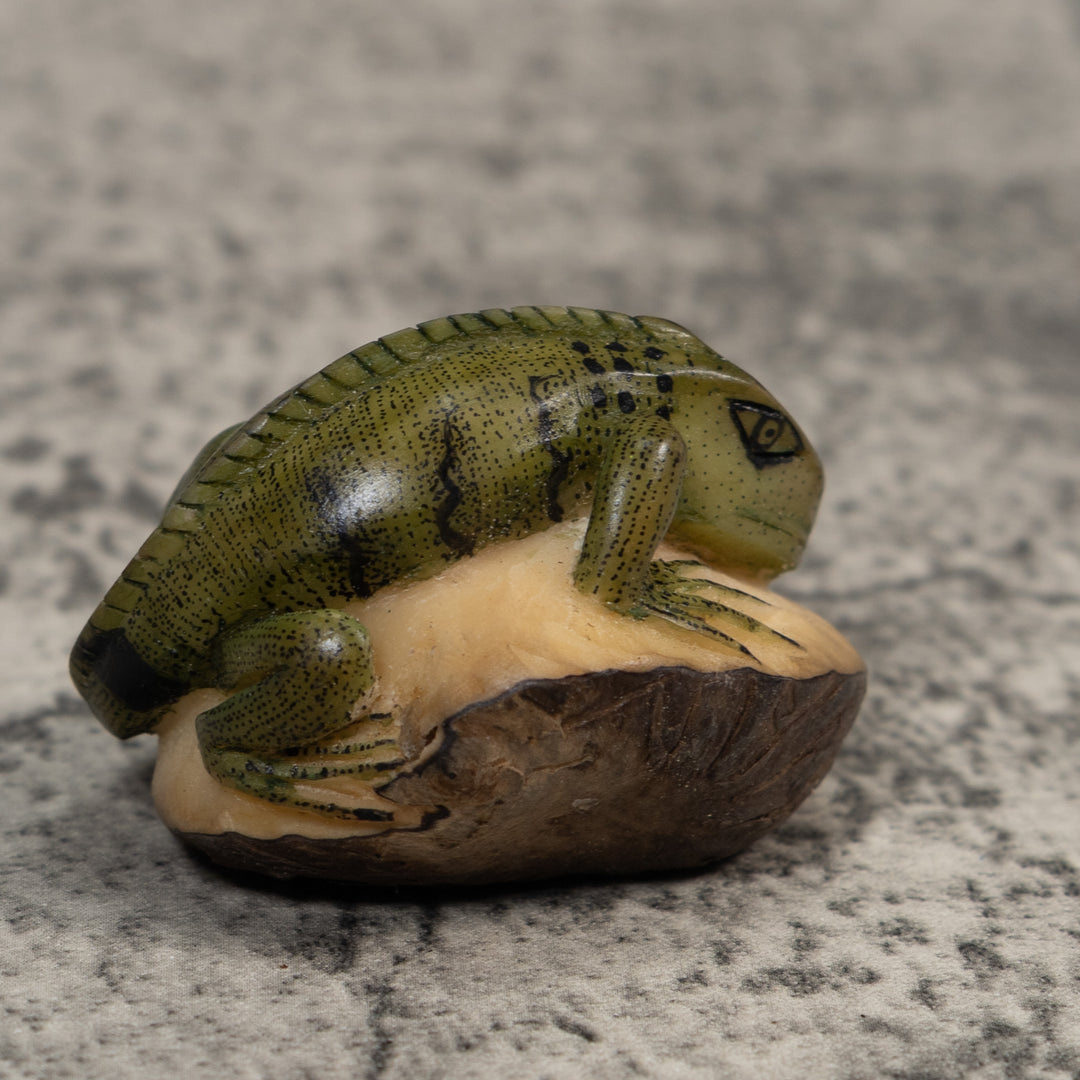 Black And Green Iguana Lizard Tagua Carving