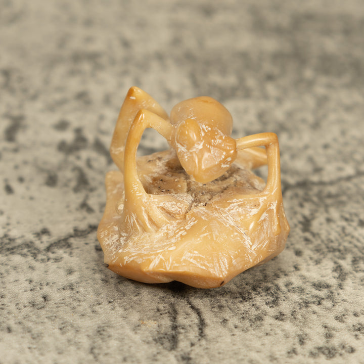 Natural White Frog On Leaf Tagua Carving