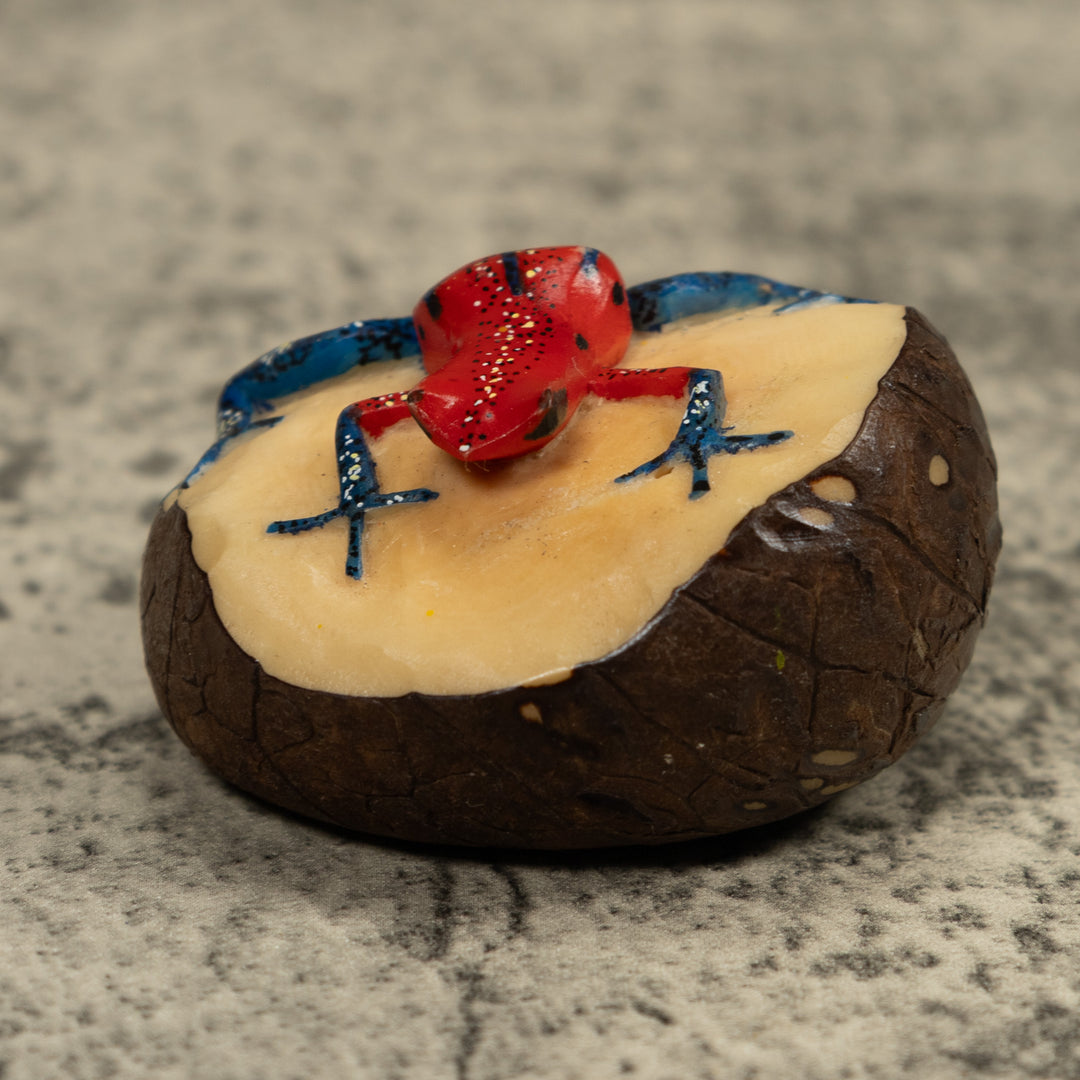 Poison Dart Frog Tagua Carving