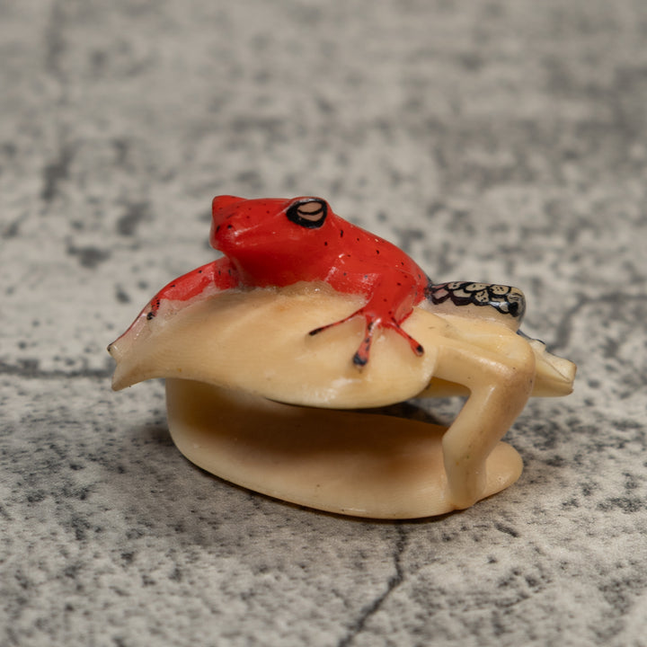 Black And Red Poison Dart Frog Tagua Carving