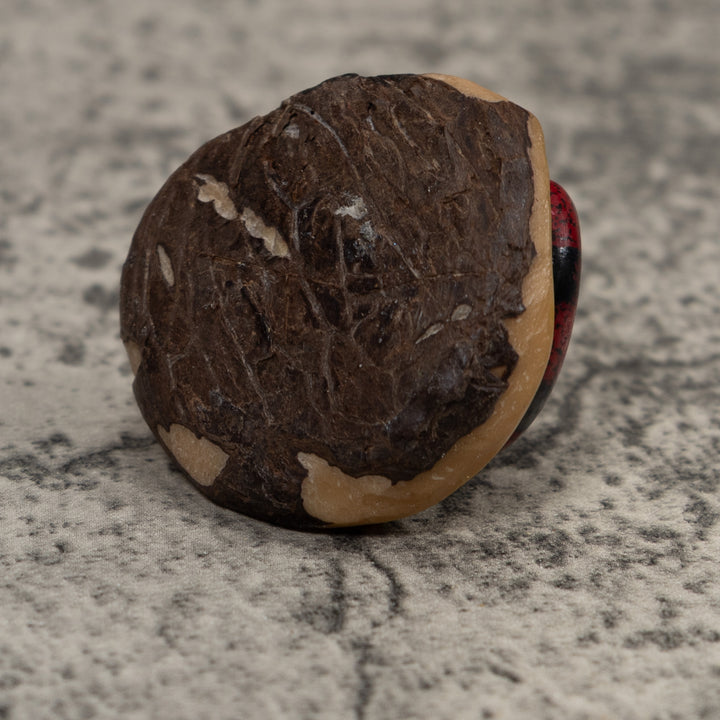 Vintage Red And Black Snake Tagua Carving