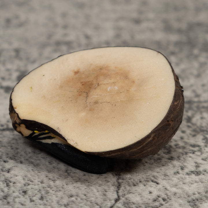 Poison Dart Frog Tagua Carving