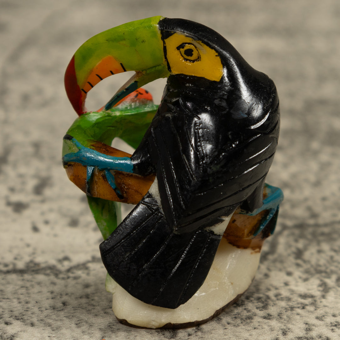 Toucan Parrot Bird Tagua Carving