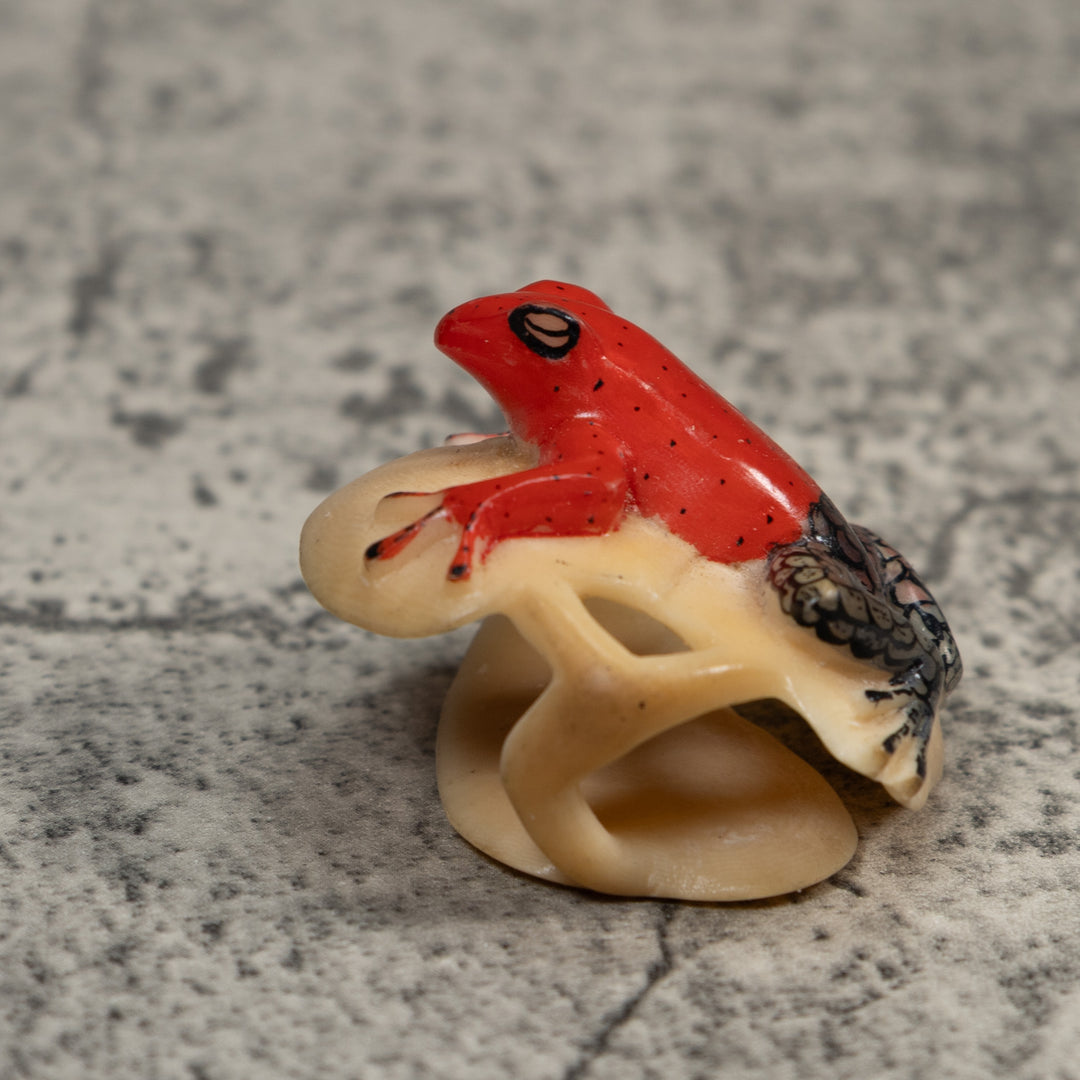 Black And Red Poison Dart Frog Tagua Carving