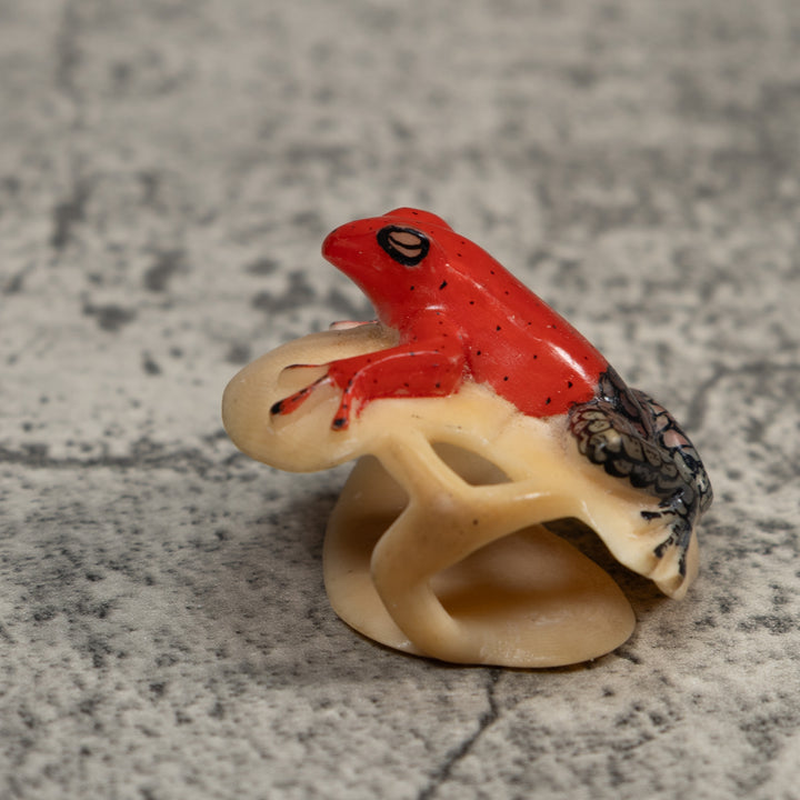 Black And Red Poison Dart Frog Tagua Carving