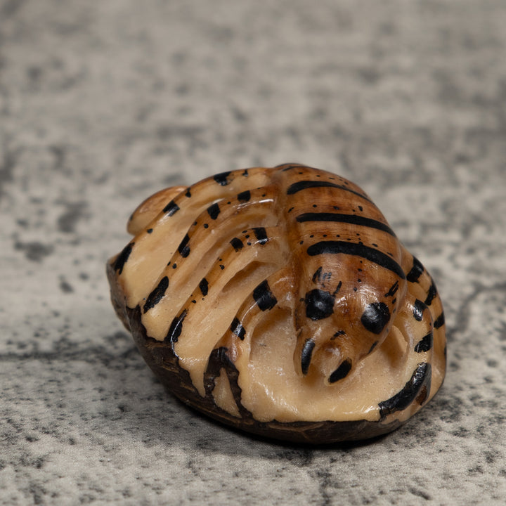 Vintage Brown And Black Insect Tagua Carving