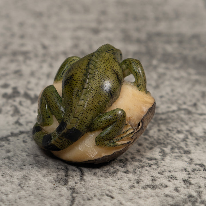 Black And Green Iguana Lizard Tagua Carving