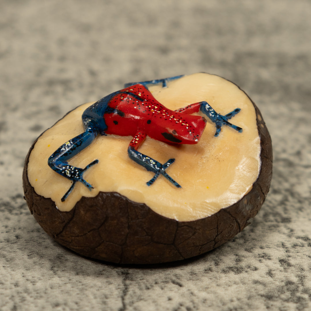 Poison Dart Frog Tagua Carving