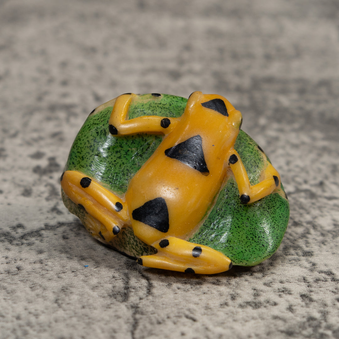 Black And Gold Poison Dart Frog Tagua Carving