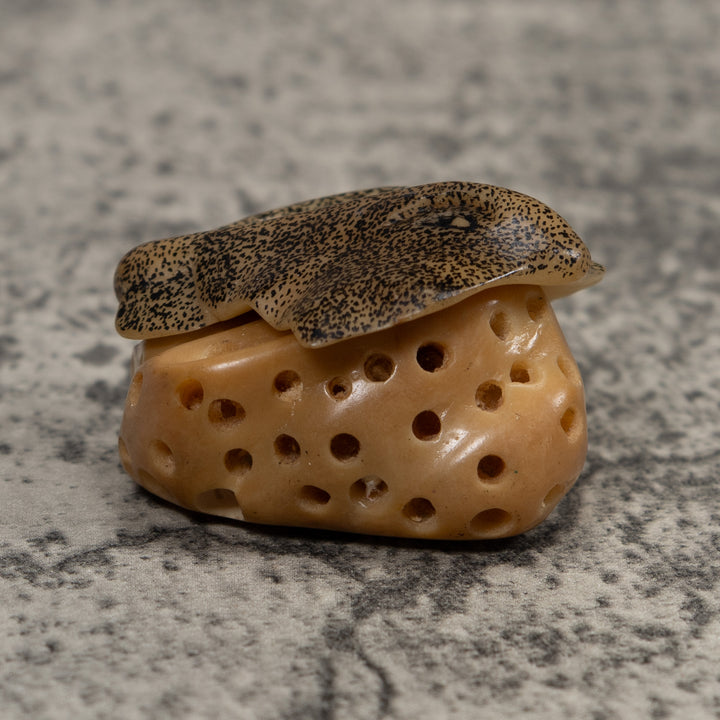 Ocean Stingray Coral Reef Tagua Carving