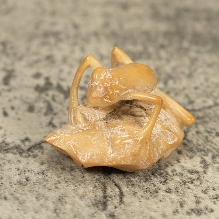 Natural White Frog On Leaf Tagua Carving