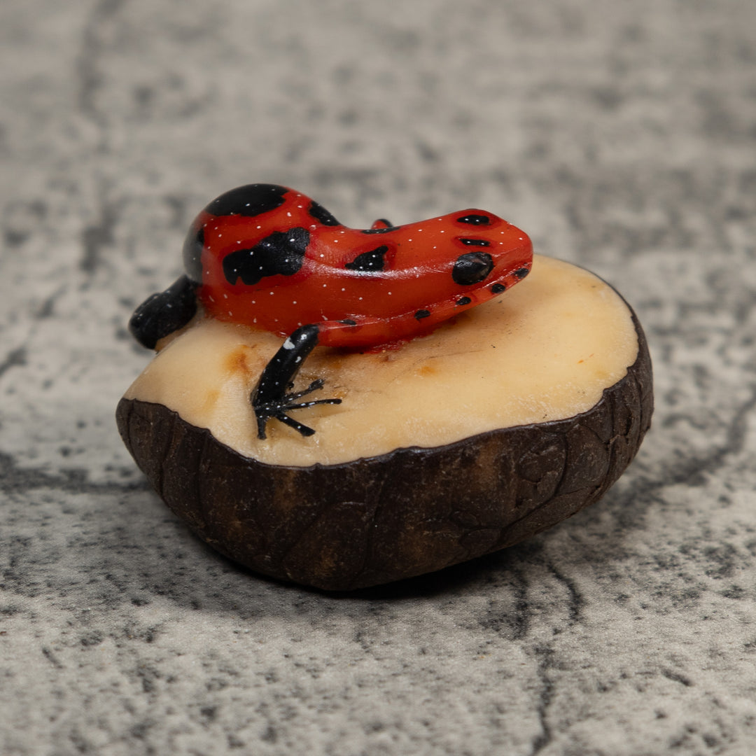 Vintage Red And Black Poison Dart Frog Tagua Carving