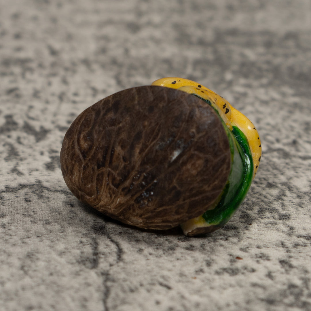 Vintage Black Yellow And Green Frog Tagua Carving
