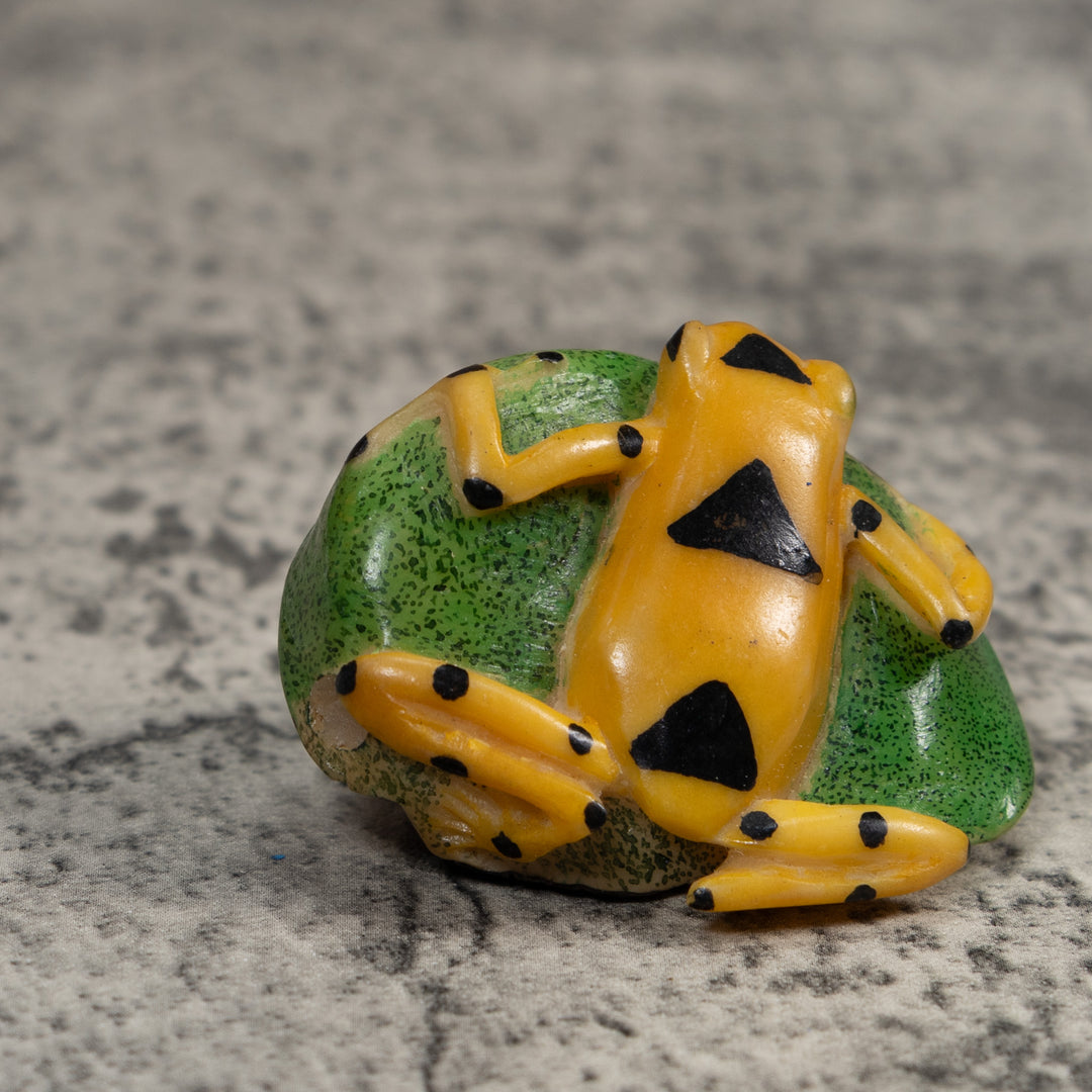 Black And Gold Poison Dart Frog Tagua Carving