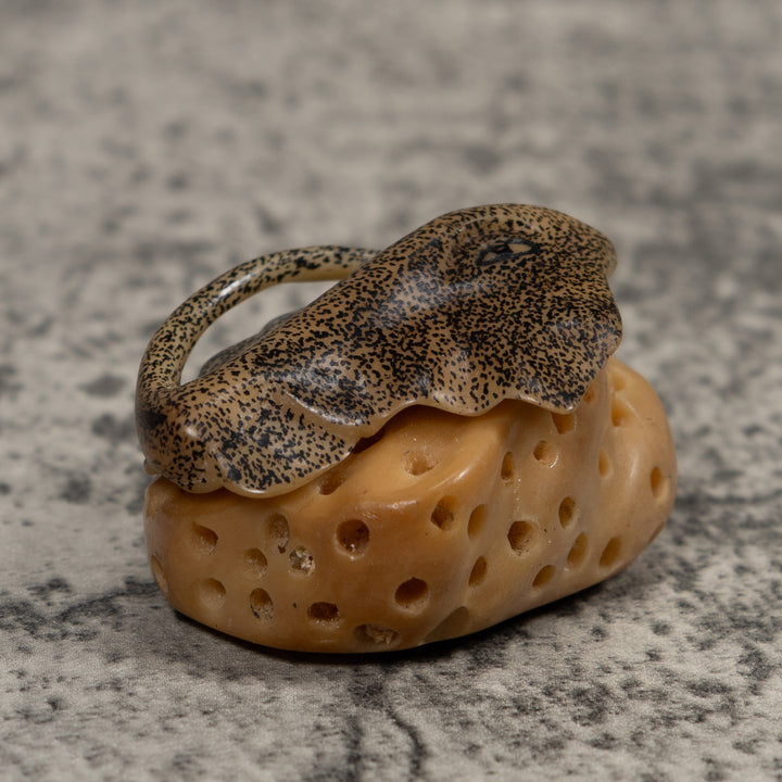 Ocean Stingray Coral Reef Tagua Carving