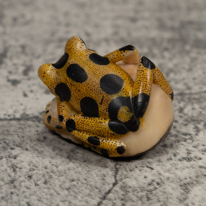 Poison Dart Frog Tagua Carving