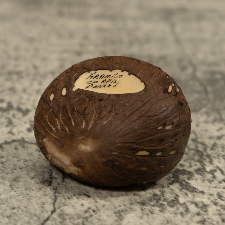 Poison Dart Frog Tagua Carving