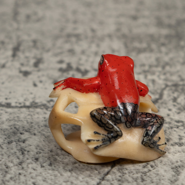 Black And Red Poison Dart Frog Tagua Carving
