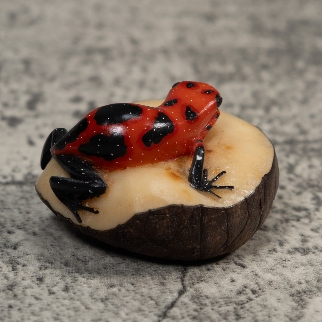 Vintage Red And Black Poison Dart Frog Tagua Carving