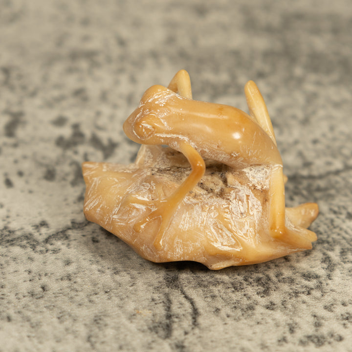 Natural White Frog On Leaf Tagua Carving