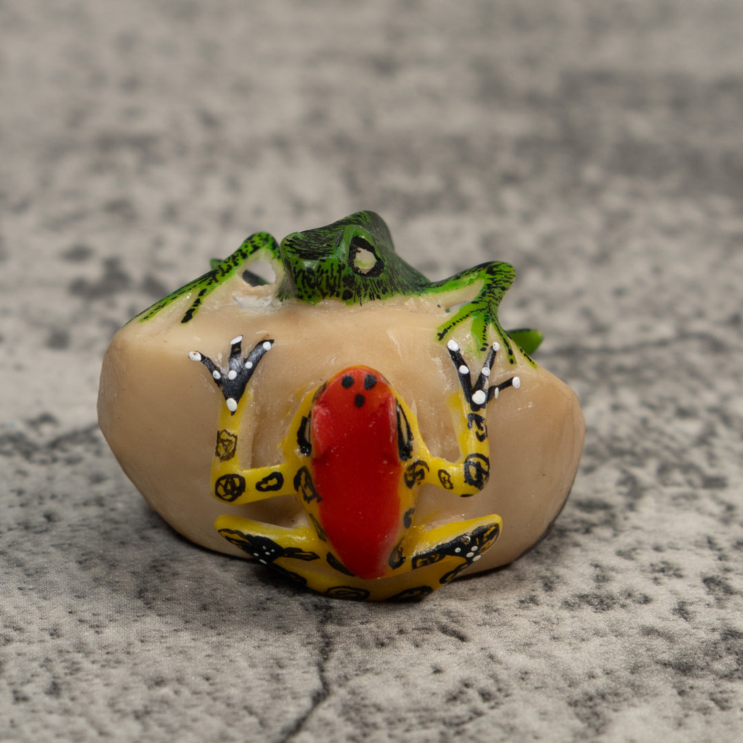 Red Green And Yellow Iguana And Frog Tagua Carving