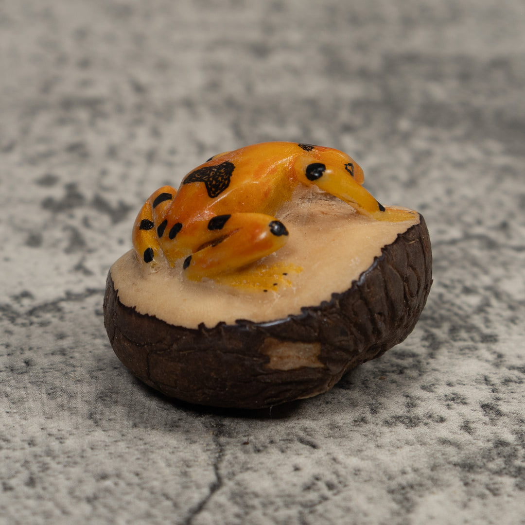 Vintage Gold And Black Frog Tagua Carving