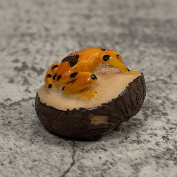 Vintage Gold And Black Frog Tagua Carving