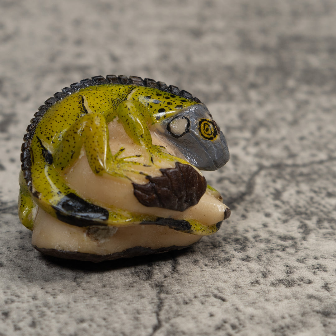 Green And Black Iguana Lizard Tagua Carving