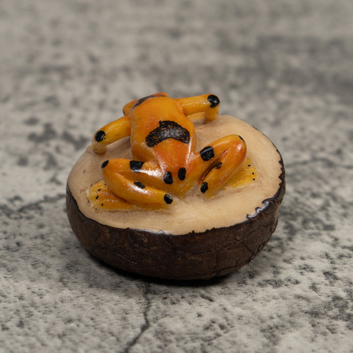 Vintage Gold And Black Frog Tagua Carving