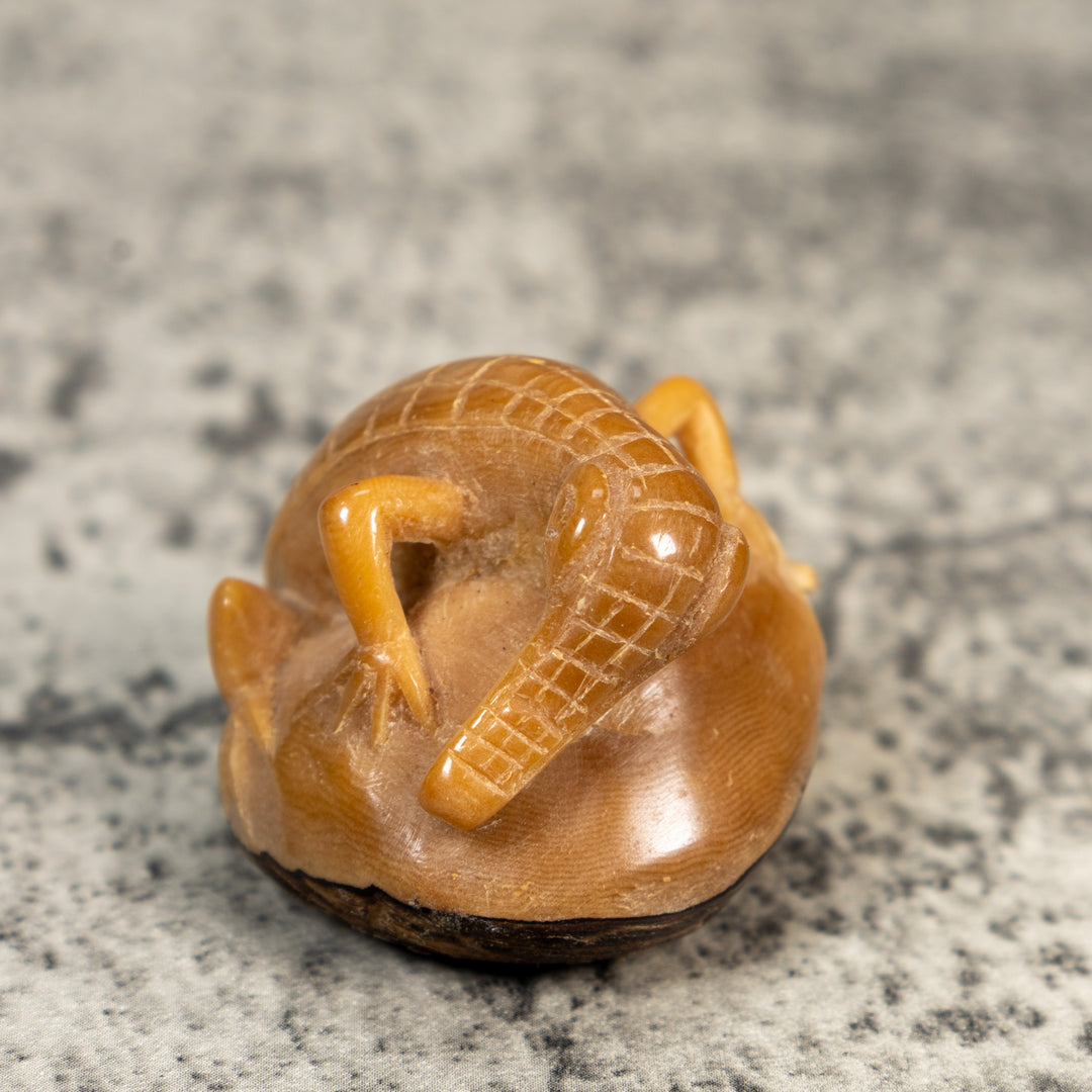 Vintage Dyed Alligator Crocodile Caiman Tagua Carving