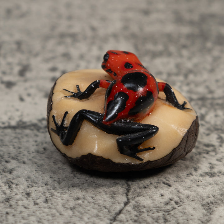 Vintage Red And Black Poison Dart Frog Tagua Carving
