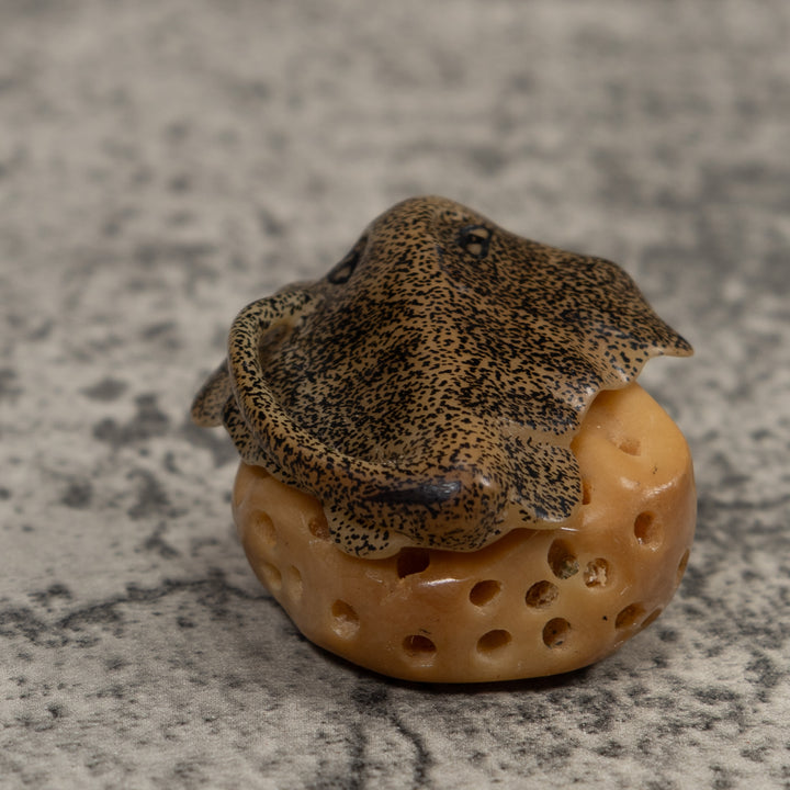 Ocean Stingray Coral Reef Tagua Carving