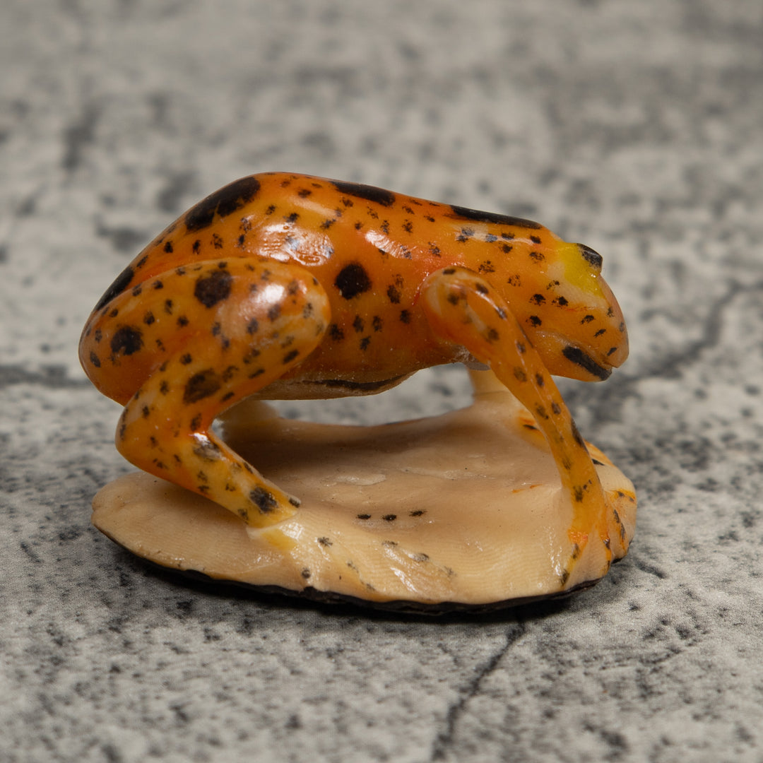 Vintage Black And Gold Frog Tagua Carving