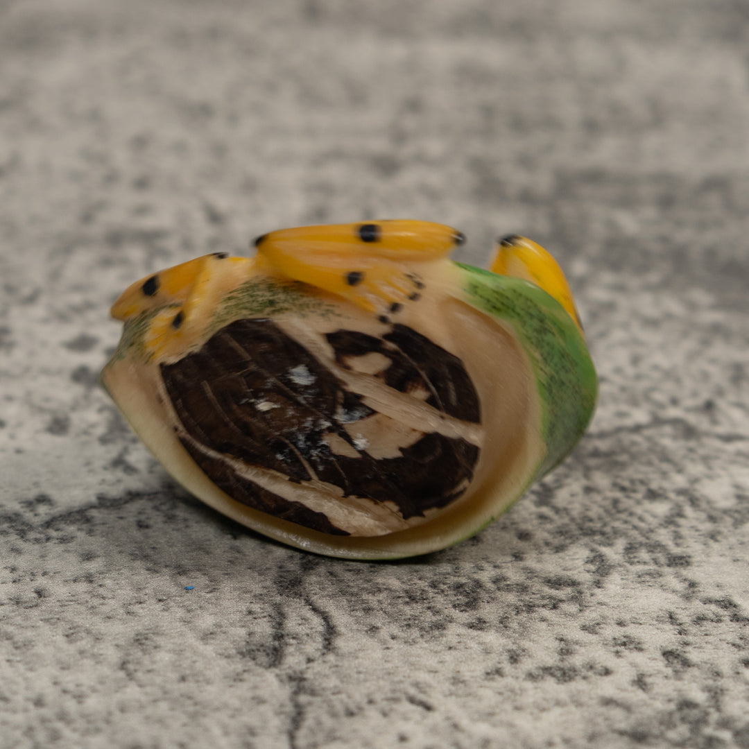 Black And Gold Poison Dart Frog Tagua Carving