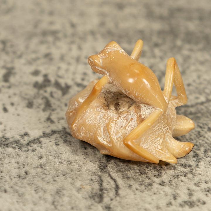 Natural White Frog On Leaf Tagua Carving