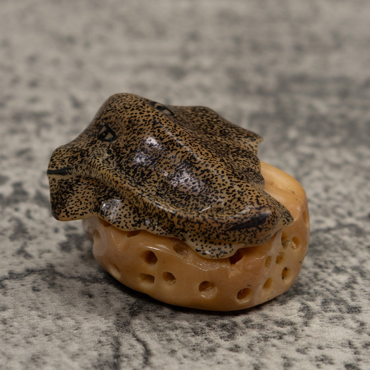 Ocean Stingray Coral Reef Tagua Carving