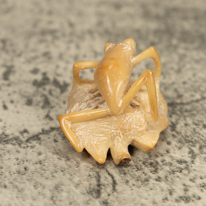 Natural White Frog On Leaf Tagua Carving