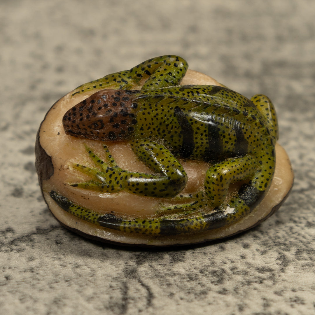 Vintage Iguana Lizard Reptile Tagua Carving