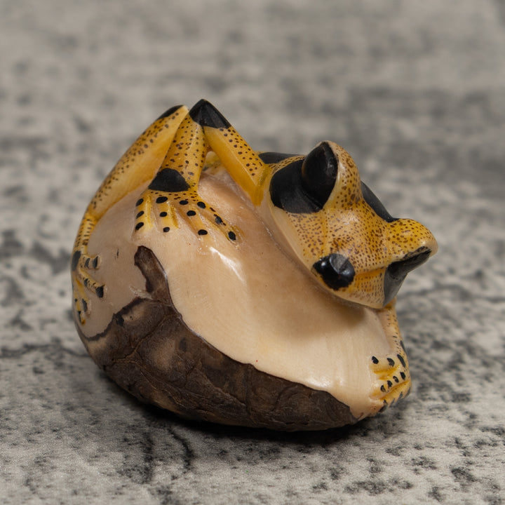 Poison Dart Frog Tagua Carving