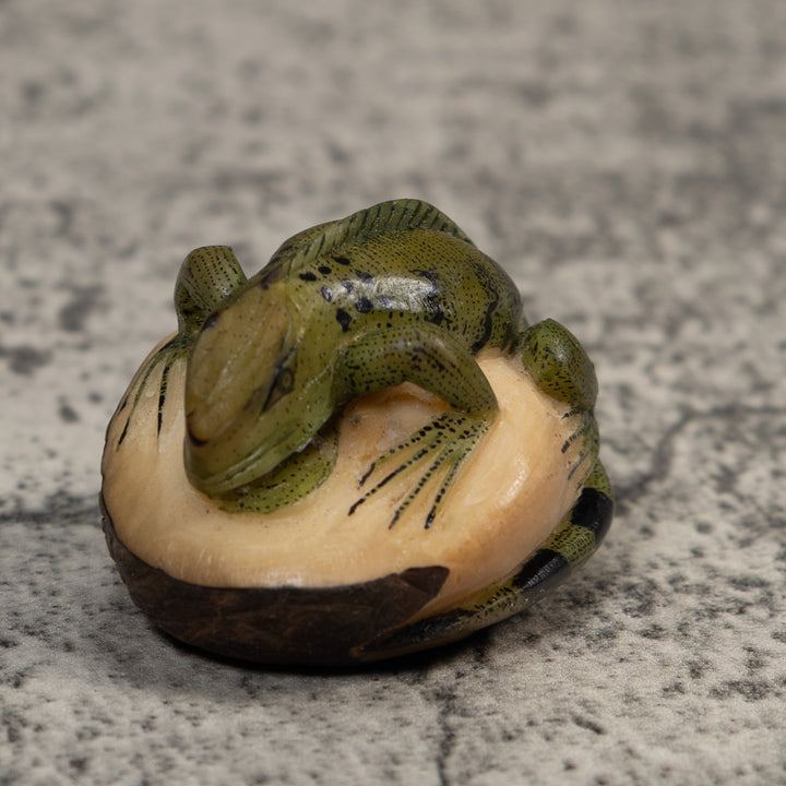 Black And Green Iguana Lizard Tagua Carving