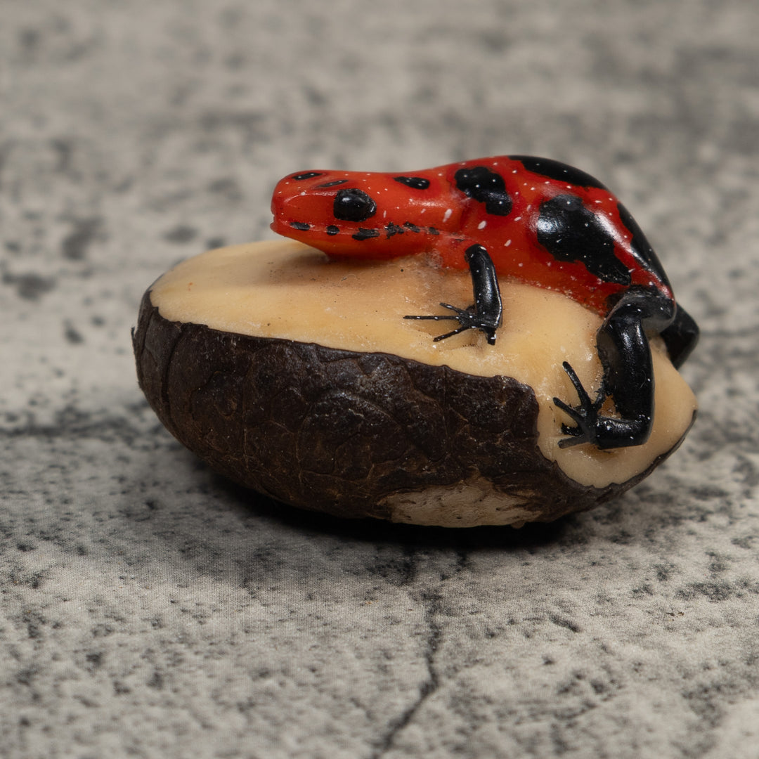 Vintage Red And Black Poison Dart Frog Tagua Carving