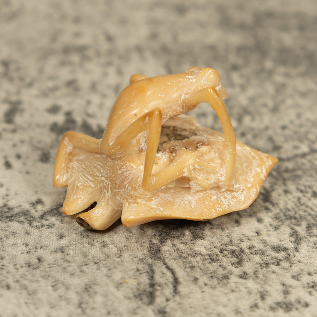 Natural White Frog On Leaf Tagua Carving