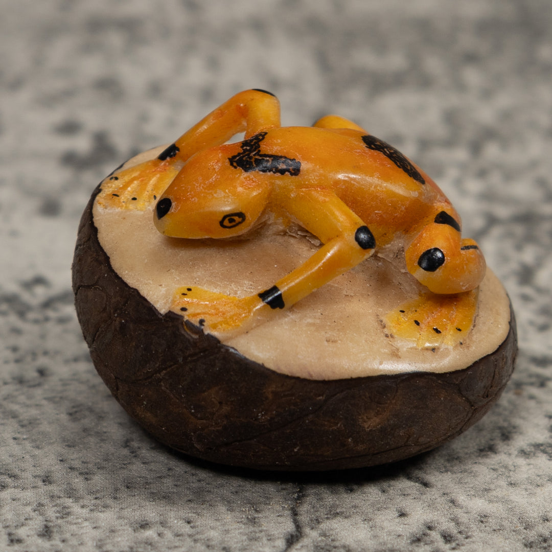 Vintage Gold And Black Frog Tagua Carving