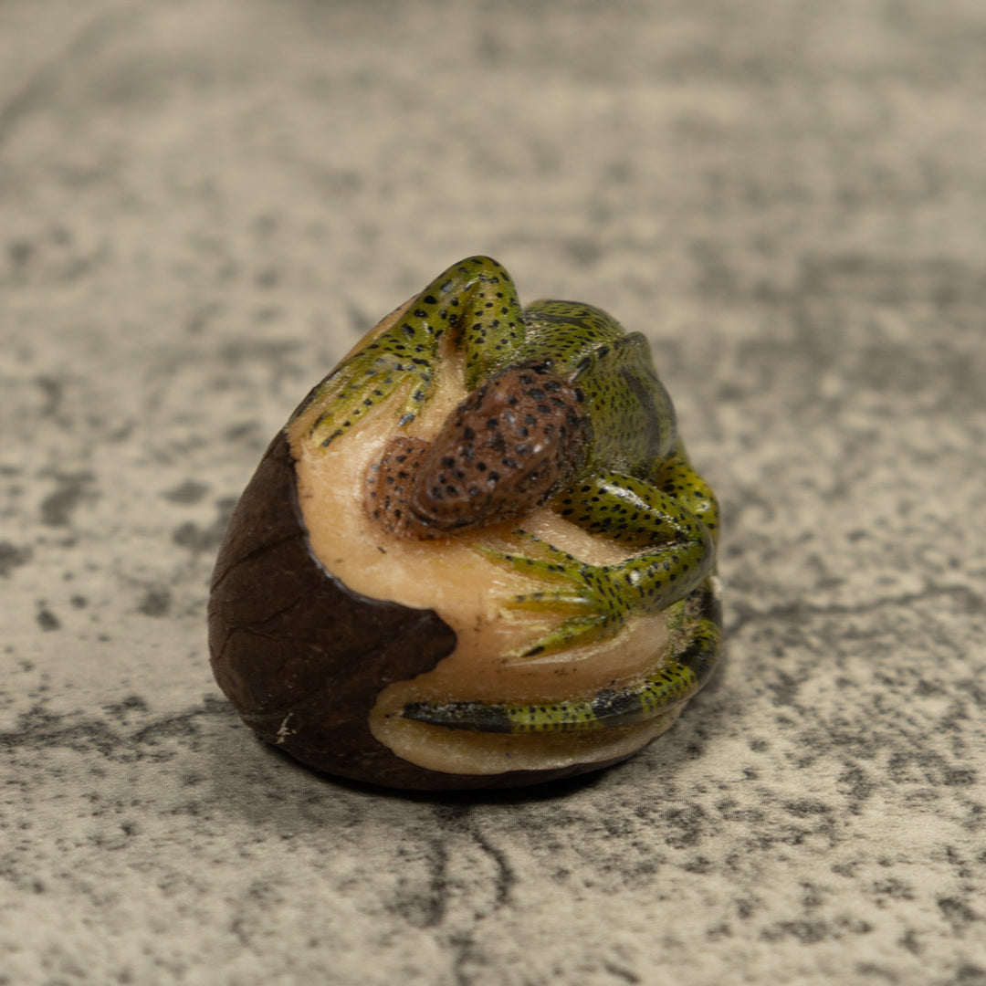 Vintage Iguana Lizard Reptile Tagua Carving